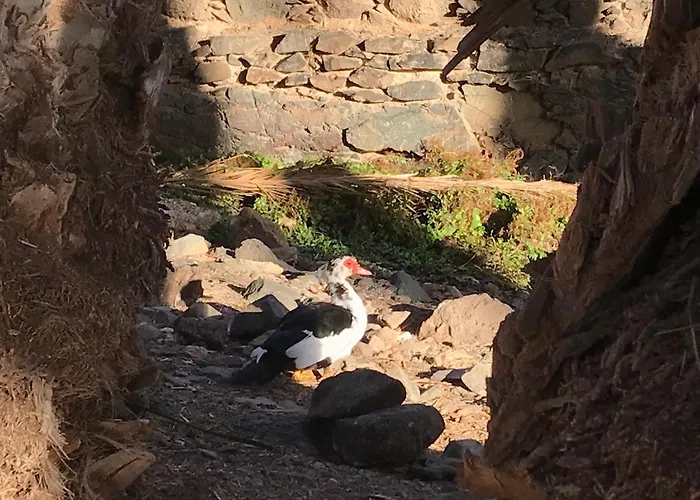 Casa Del Sol * Triquivijate