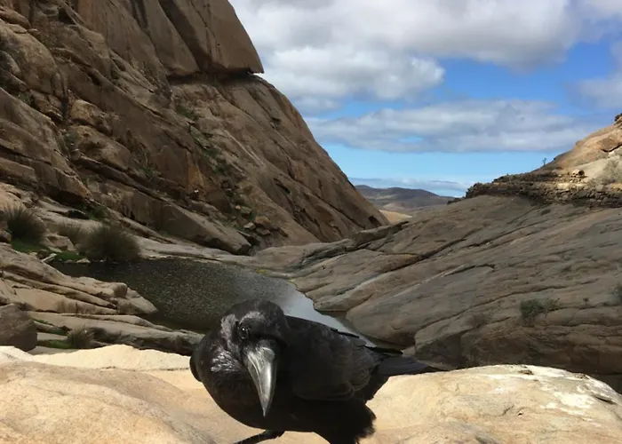 Casa Del Sol Triquivijate