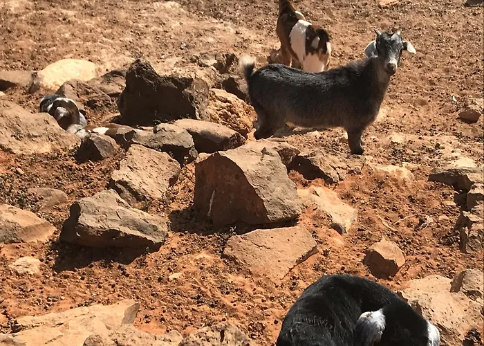 아파트 Casa Del Sol Triquivijate