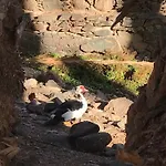 Casa Del Sol * Triquivijate