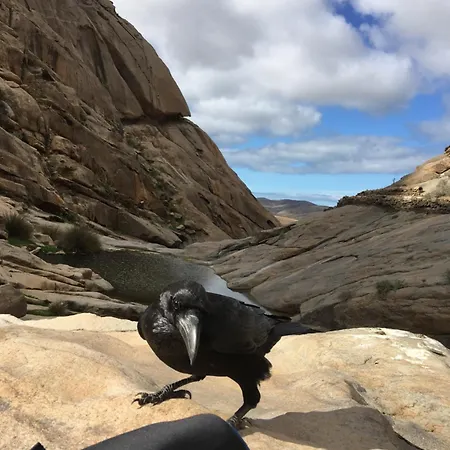 Casa Del Sol Triquivijate