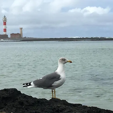 Apartment Casa Del Sol *
