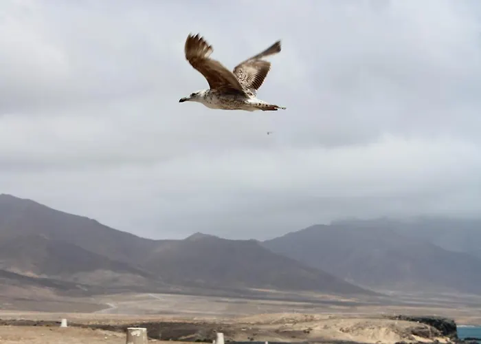 Casa Del Sol Triquivijate