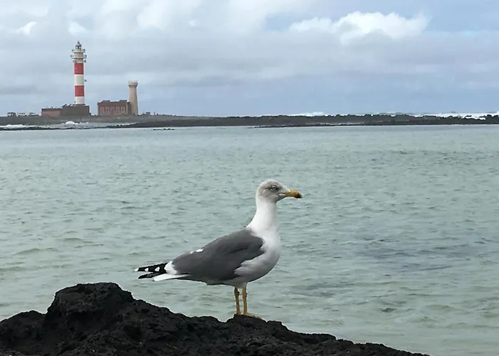 Apartment Casa Del Sol *